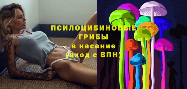 крисы Горно-Алтайск
